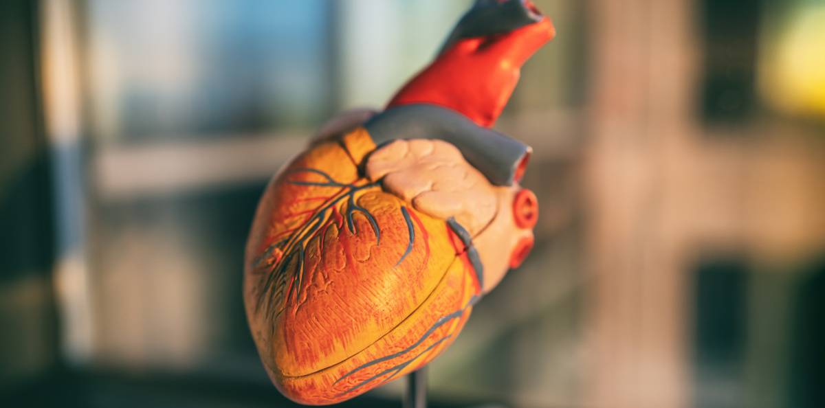 ESC: Så förändras vården för hjärt- och kärlsjuka