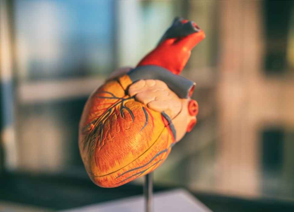 Registreringen av hjärtinfarktpatienter över 80 år behöver bli bättre