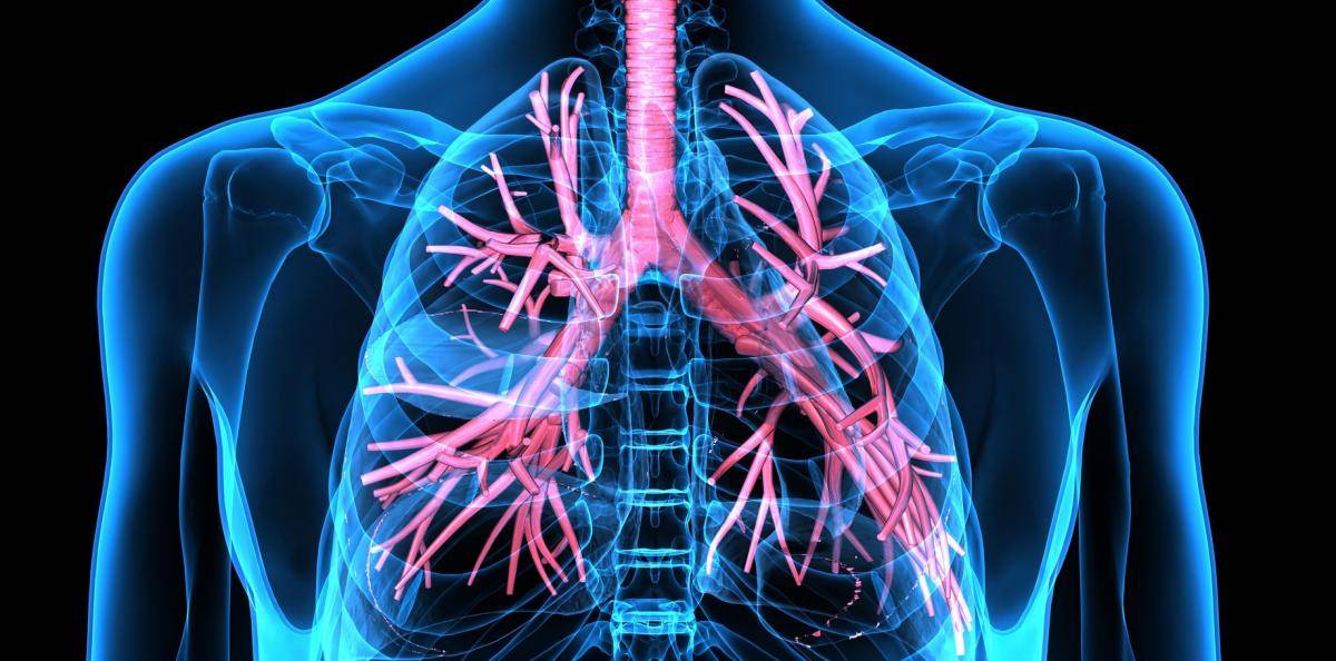 Små luftrör spelar stor roll för astmabehandlingen